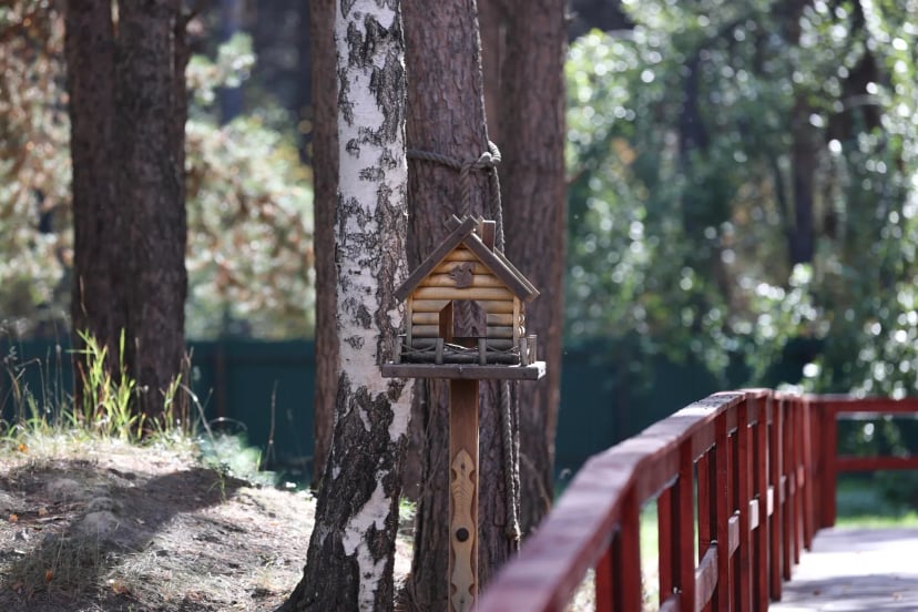 Эргопарк в Клинике Института Мозга